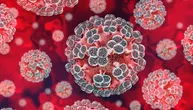 Do 8. maja potvrđeno šest slučajeva infekcije hantavirusom. Šta je andski soj, preti li nam nova epidemija?