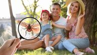 Zakačio vam se krpelj? Evo šta treba da uradite i zašto nikako ne smete da ga gnječite ili spaljujete