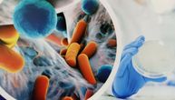 Otkriven mehanizam koji „ruši“ štit bakterija otpornih na antibiotike
