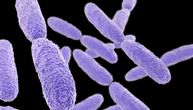 Zašto svaki antibiotik nije pravi izbor: Šta je antibiogram i kako pomaže u borbi protiv bolničkih bakterija?