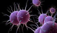 Zdravstveno upozorenje ECDC: U Evropi se širi gonoreja otporna na antibiotike