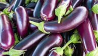 Plavi patlidžan ne preporučuje se osobama koje imaju ova 4 zdravstvena problema