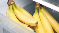 Da li banane treba držati u frižideru? Jedna detalj određuje kako ih je najbolje čuvati